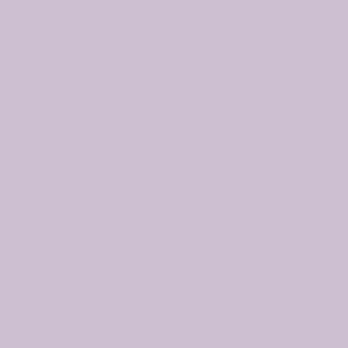 Violet Petal 1382